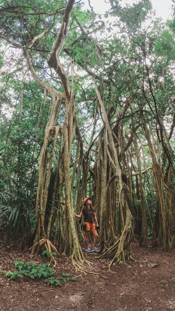 Quels types de sacs à bandoulière privilégier pour une sortie en ville ?